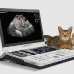 Veterinary ultrasound machines for sale