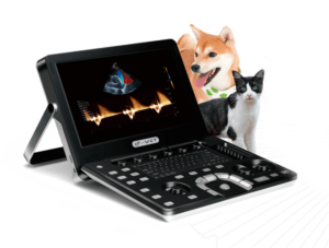 D2-Vet Laptop Ultrasound Scanner